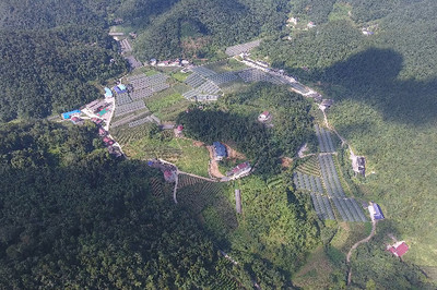 五峰:高山蔬菜走进江城,绿色底牌扮靓五峰