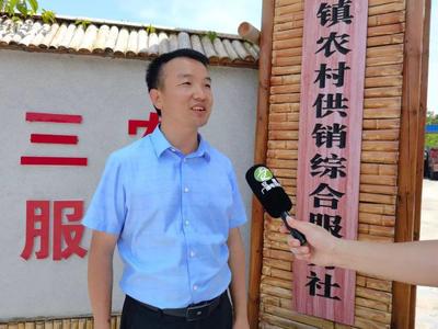 荷塘、精品民宿&hellip;安康这个村夏日好风光! || 文明安康